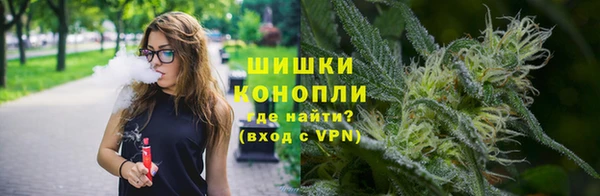 бошки Бикин