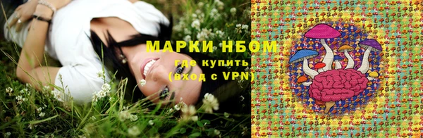 соль ск Верея